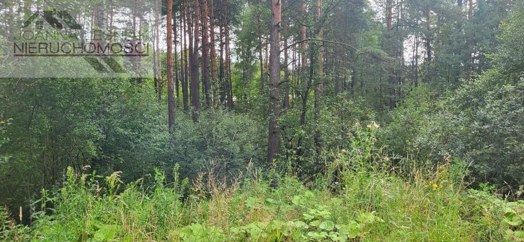 Działka inwestycyjna Sławków. Zdjęcie 4