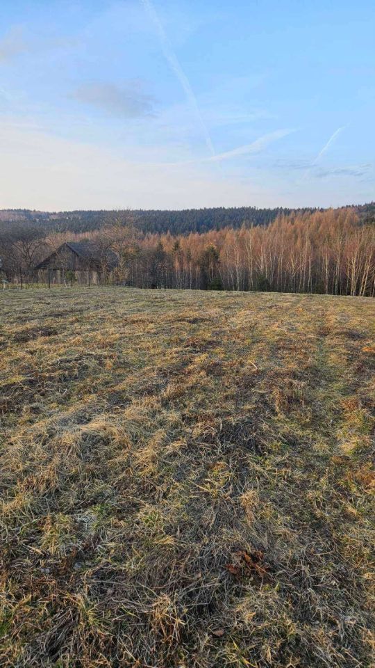 Działka rekreacyjna Bonarówka. Zdjęcie 2