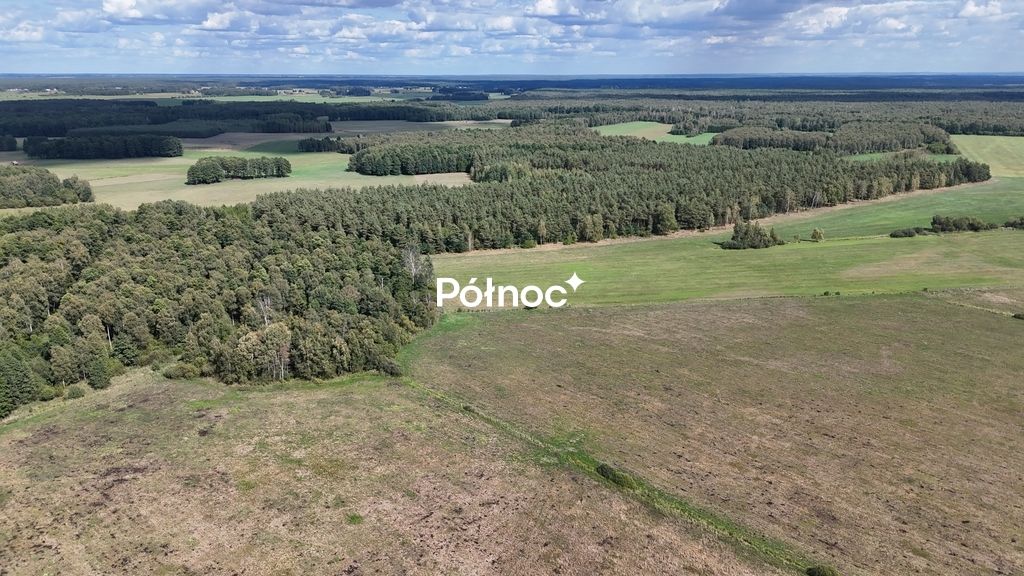 Działka leśna Pieńczykowo. Zdjęcie 11