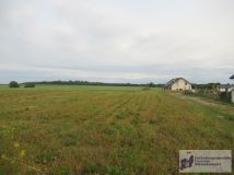 Działka rolna Bielkowo. Zdjęcie 4