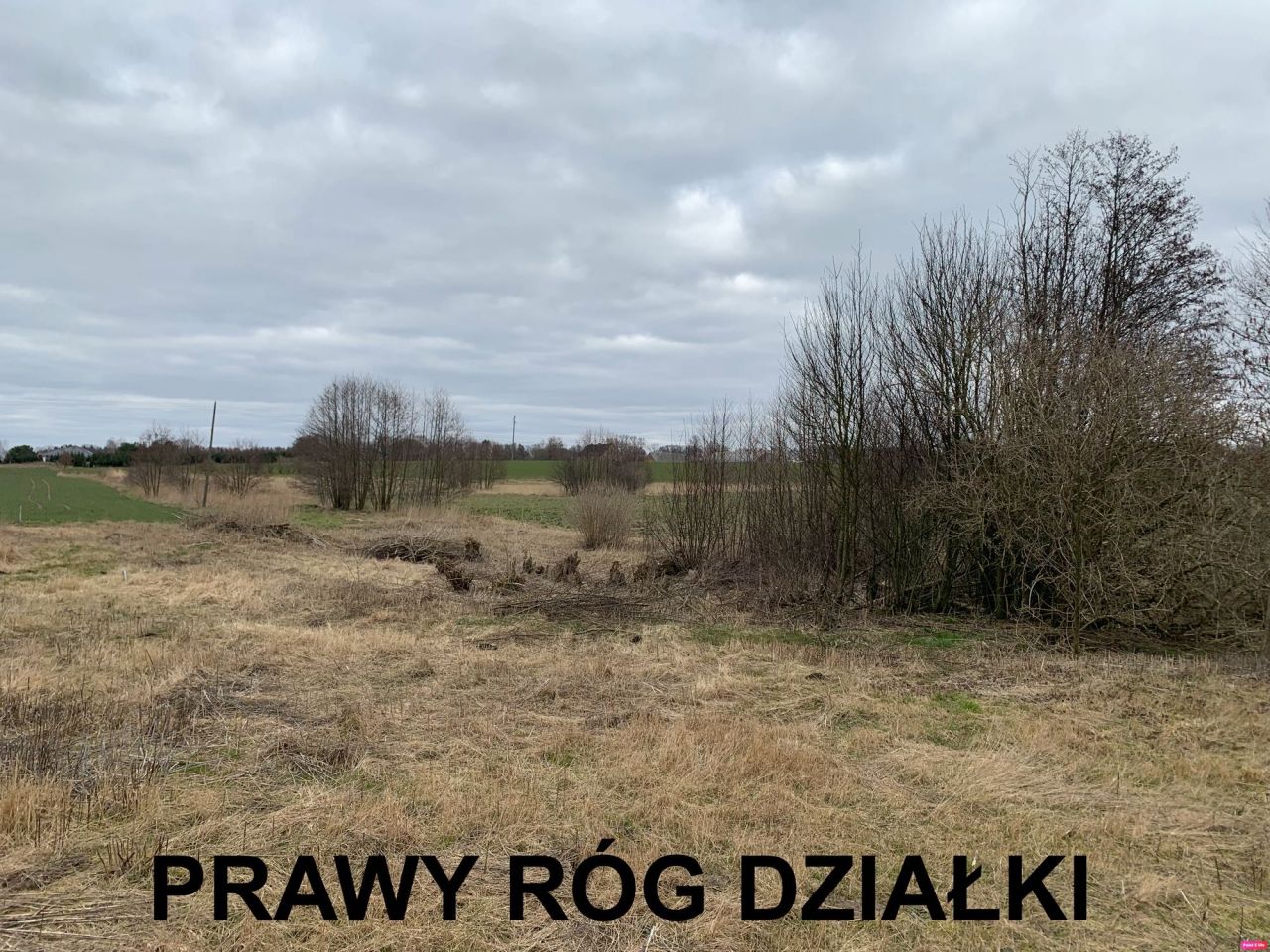 Działka rolno-budowlana Tarnowiec. Zdjęcie 5