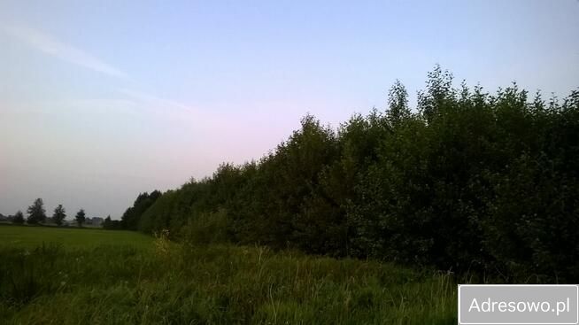 Działka leśna Garki. Zdjęcie 8