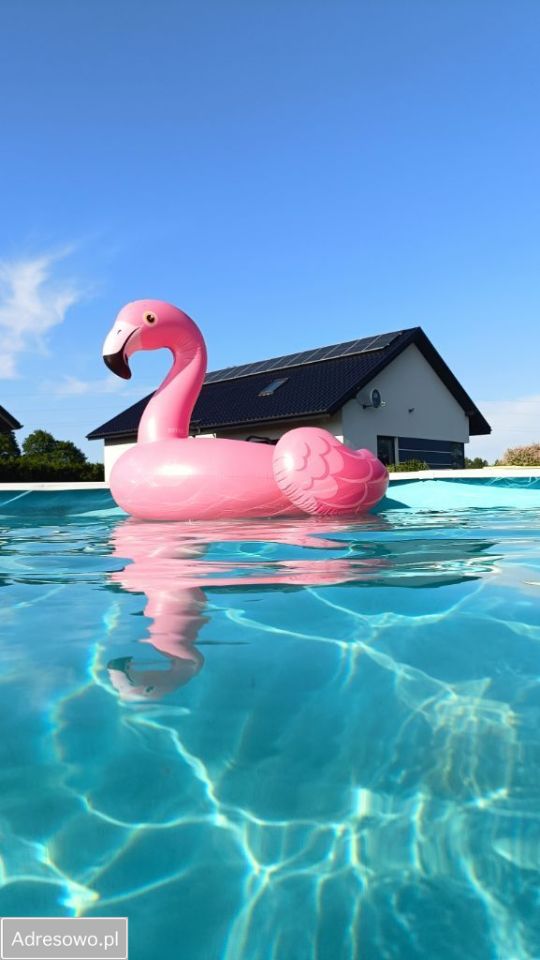 dom wolnostojący, 5 pokoi Obroty. Zdjęcie 17