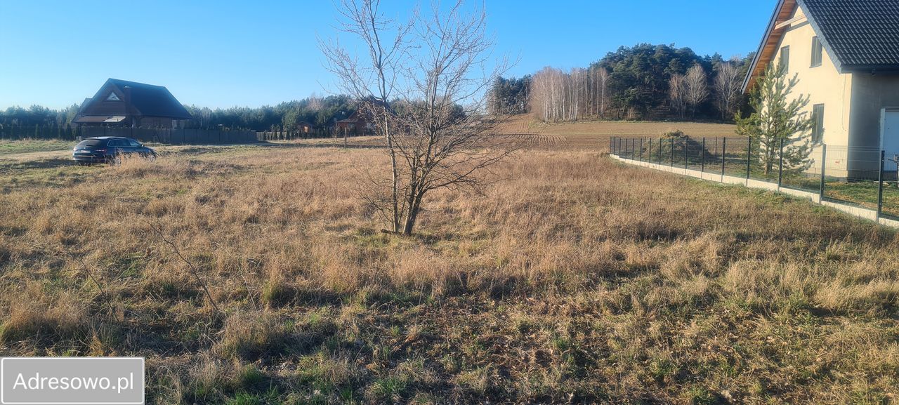 Działka rolno-budowlana Szkotowo. Zdjęcie 4
