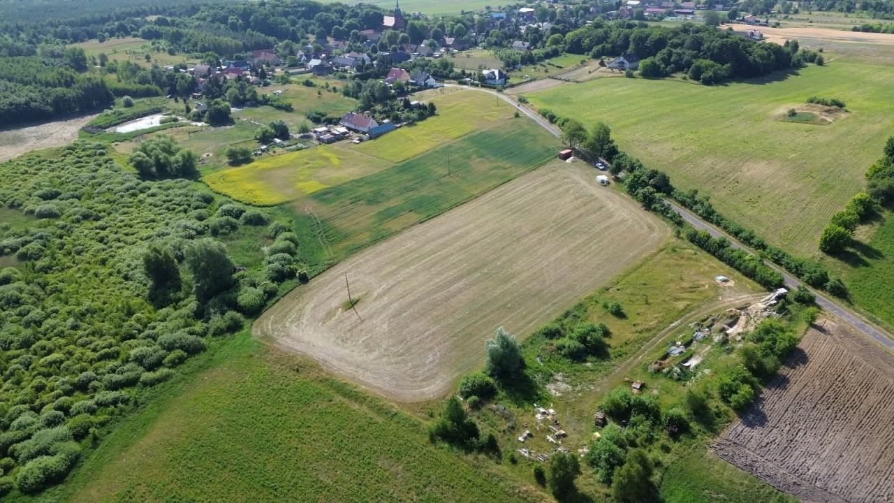 Działka budowlana Trzcinna. Zdjęcie 6