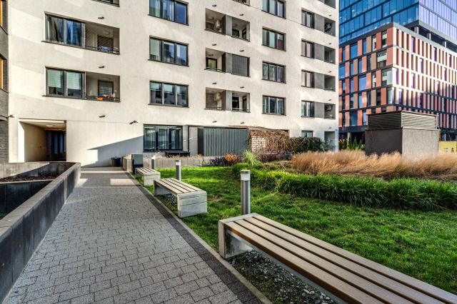 Mieszkanie 1-pokojowe Wrocław Stare Miasto, ul. Gwiaździsta 16. Zdjęcie 4