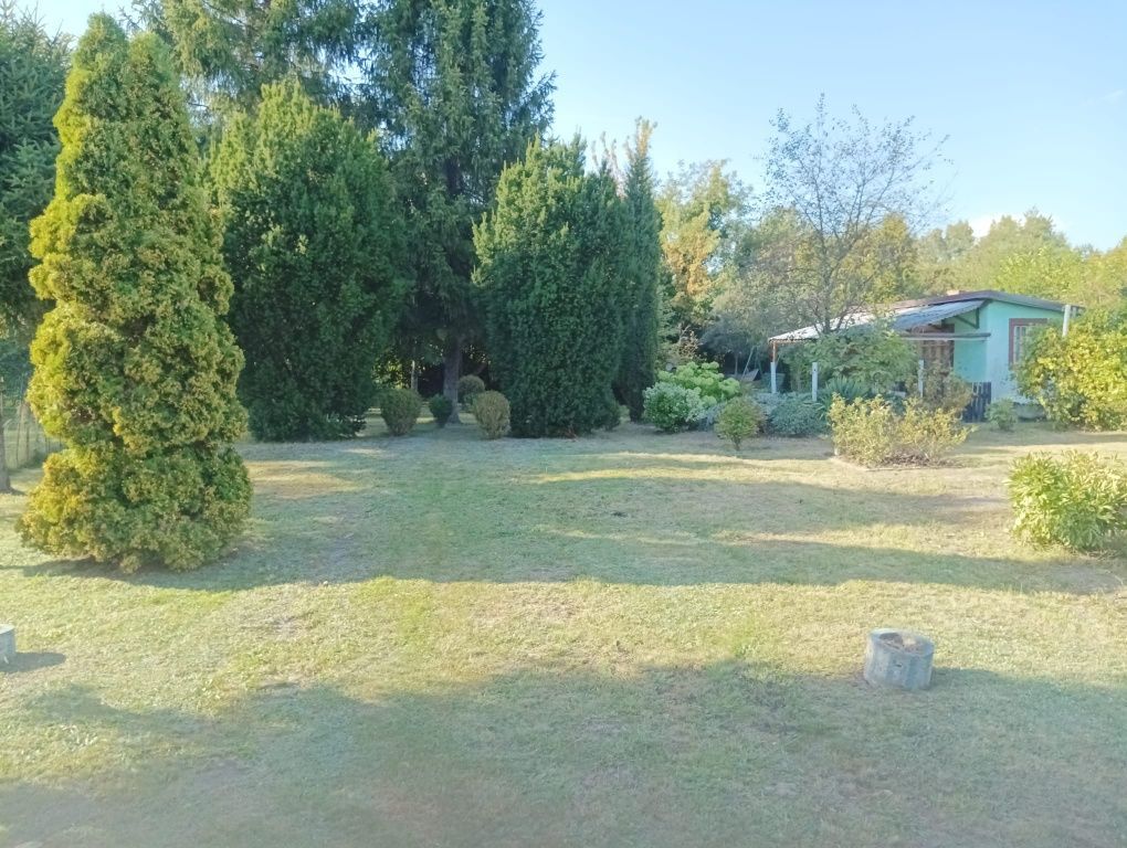 Działka rod Gliwice Sośnica. Zdjęcie 1