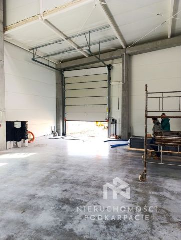 Hala/magazyn Rzeszów Dworzysko, ul. Biznesowa. Zdjęcie 13