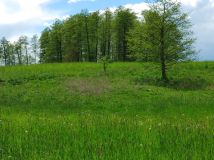 Działka rolna Niemieczkowo. Zdjęcie 3