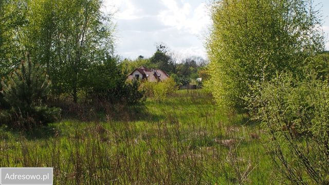 Działka budowlana Ojrzanów, ul. Wiklinowa. Zdjęcie 9