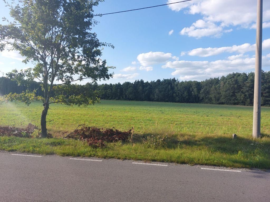 Działka rolno-budowlana Zamęty. Zdjęcie 4