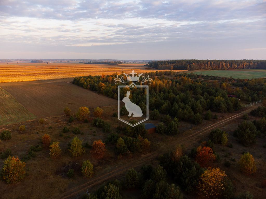 Działka budowlana Gnojno. Zdjęcie 14