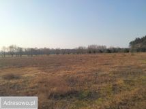 dom wolnostojący, 4 pokoje Wólka Szczawińska. Zdjęcie 3