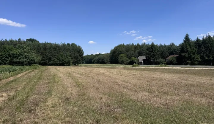 Działka Kupienin