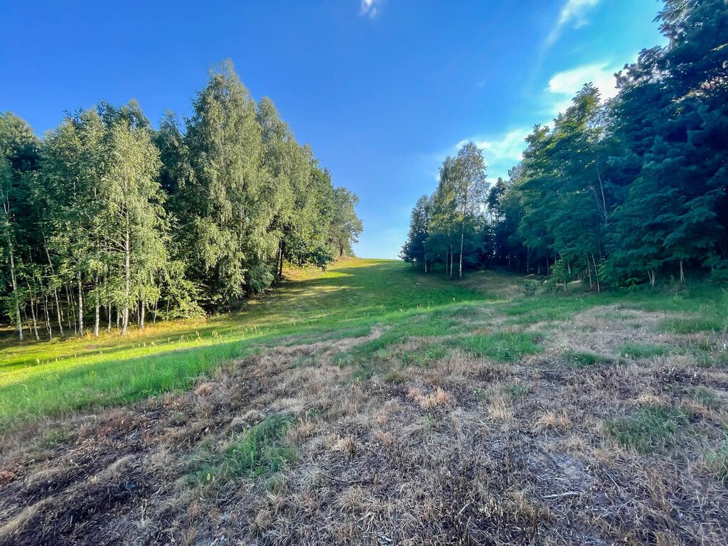 Działka budowlana Kuczów. Zdjęcie 3