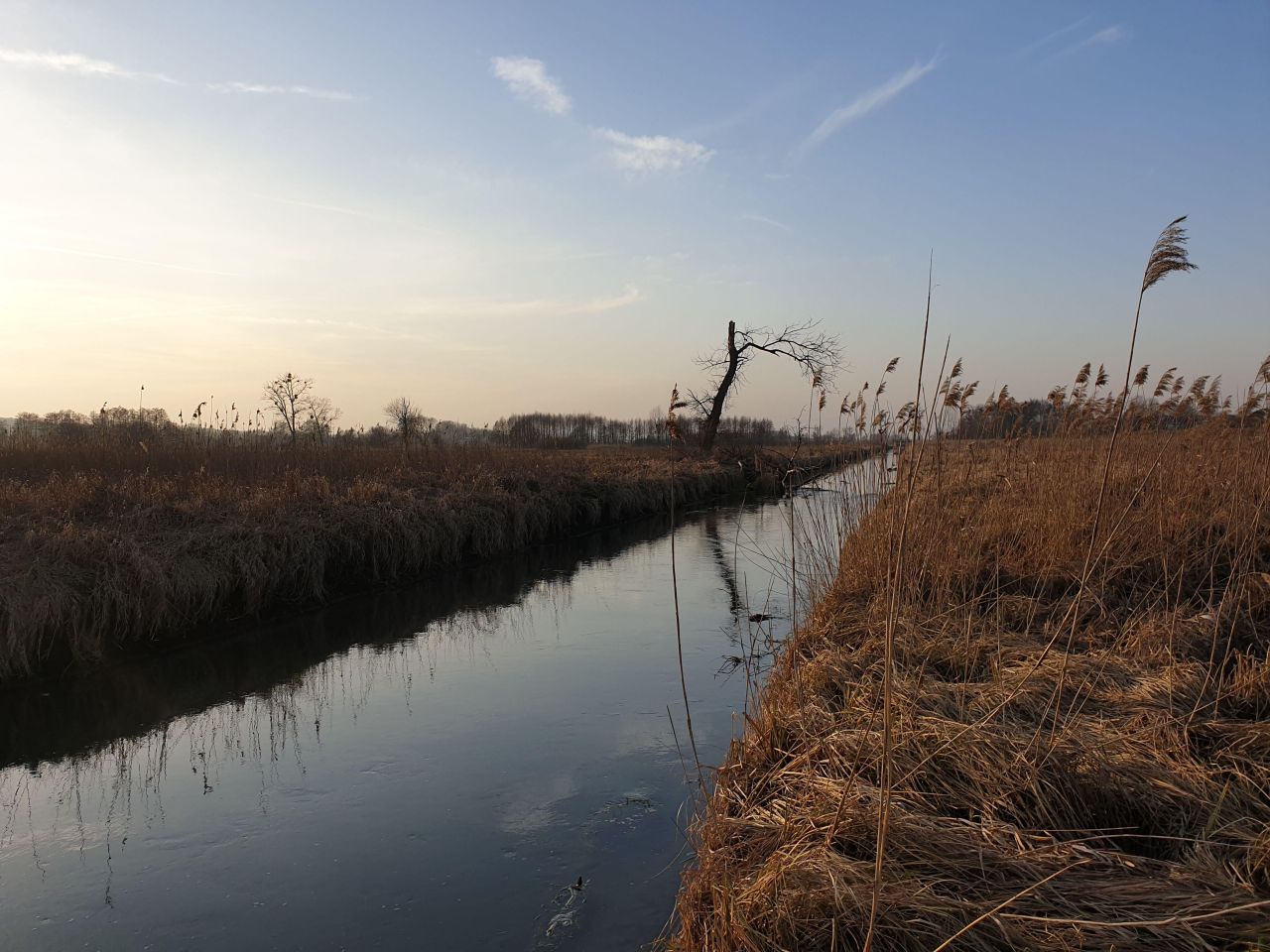 dom wolnostojący, 4 pokoje Czernięcin Poduchowny. Zdjęcie 28