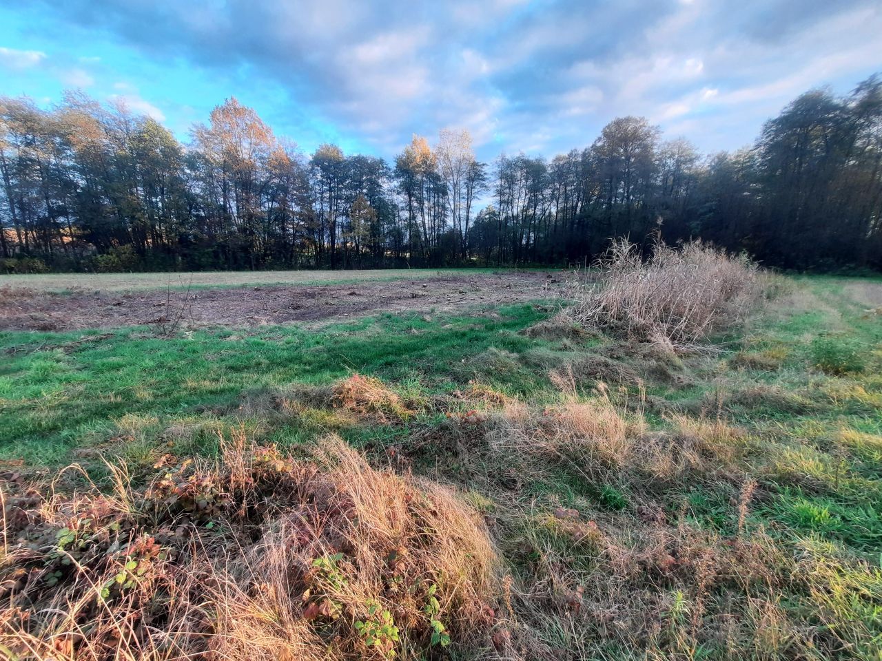 Działka budowlana Rybitwy. Zdjęcie 2