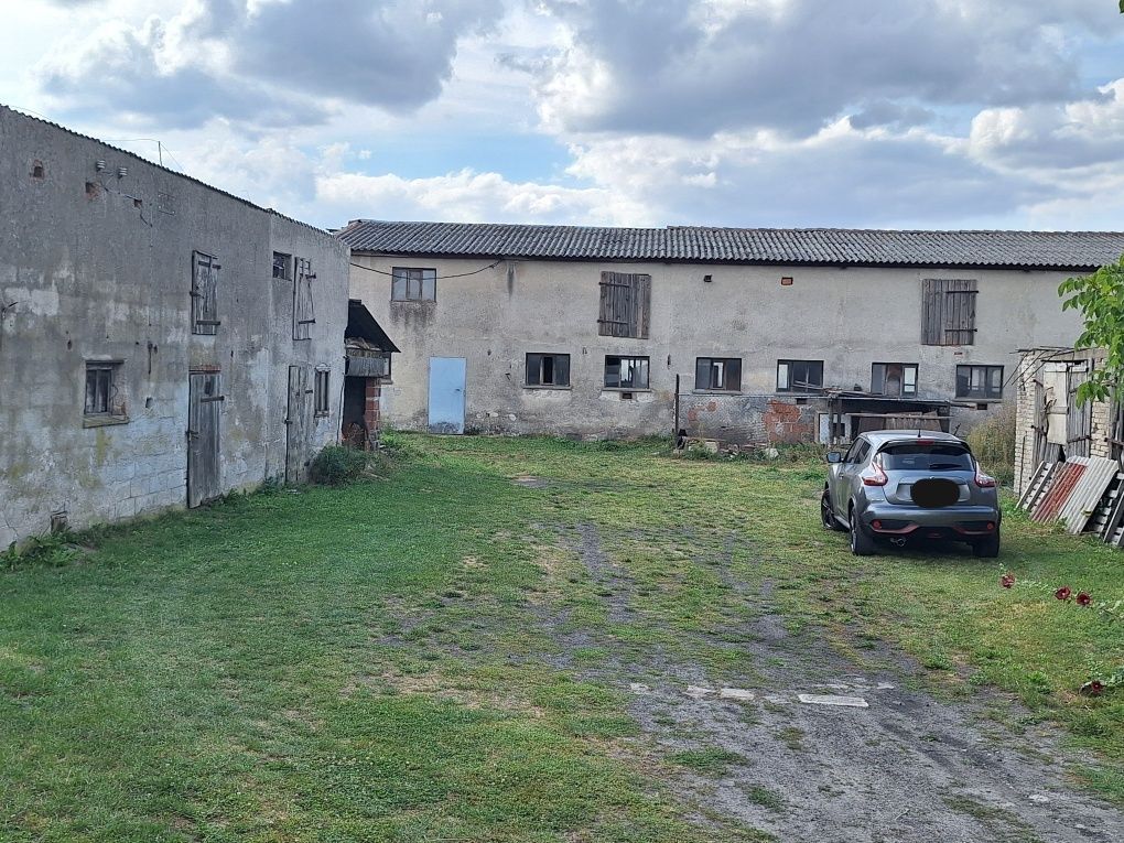 gospodarstwo Wyrzysk Skarbowy. Zdjęcie 8