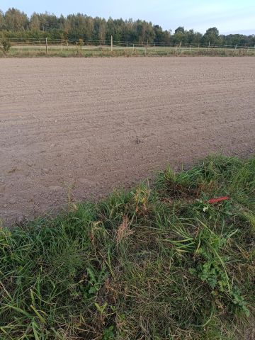 Działka budowlana Jedlnia-Letnisko, ul. Prusa. Zdjęcie 1