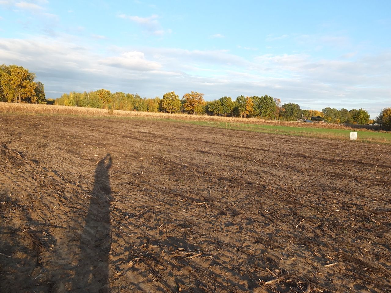 Działka budowlana Janów Ruszki. Zdjęcie 9