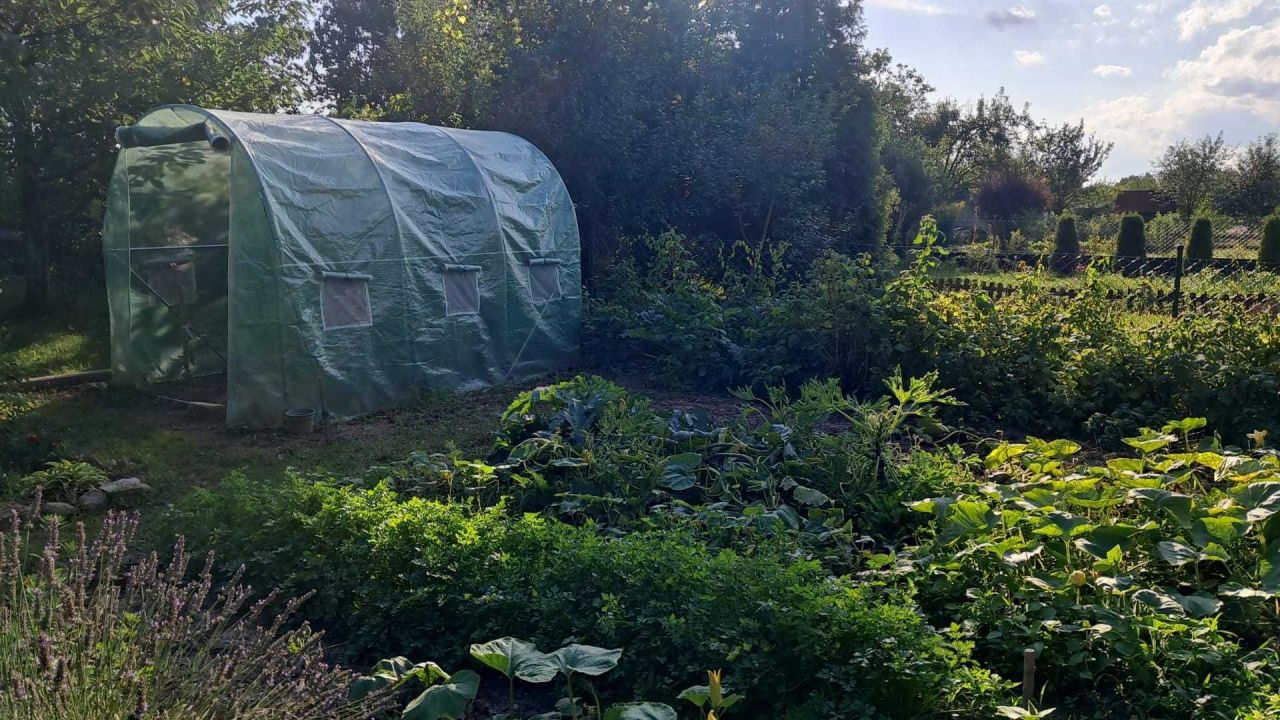 Działka rod Świdnica, ul. Śląska. Zdjęcie 7