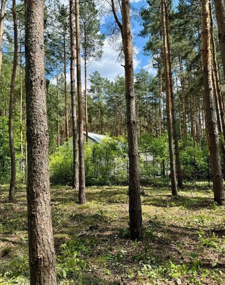 Działka budowlana Józefów, ul. Rybacka. Zdjęcie 4