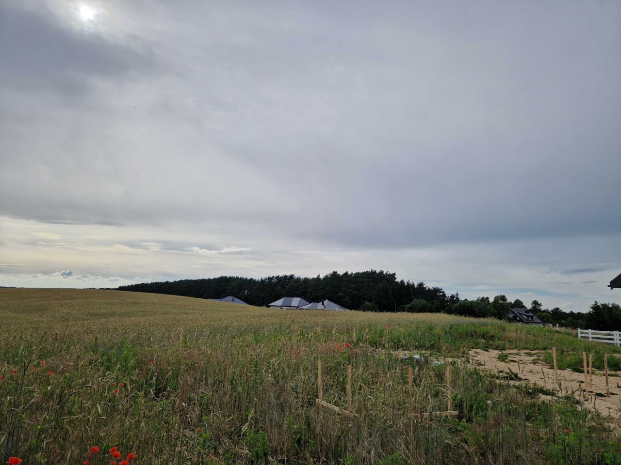 Działka budowlana Laskowo. Zdjęcie 5