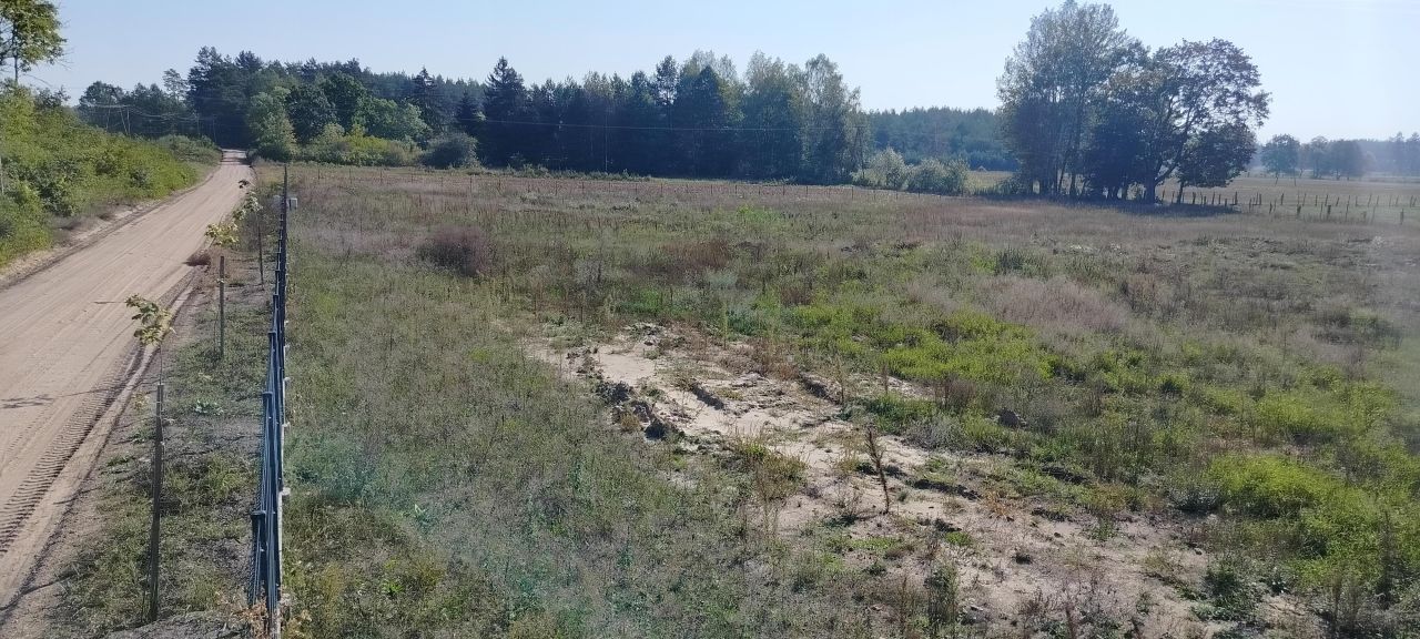 Działka rolno-budowlana Wujaki. Zdjęcie 5