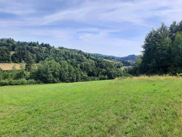 Działka rolno-budowlana Jastrzębia. Zdjęcie 1