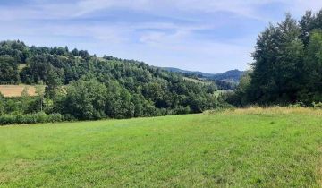 Działka rolno-budowlana Jastrzębia