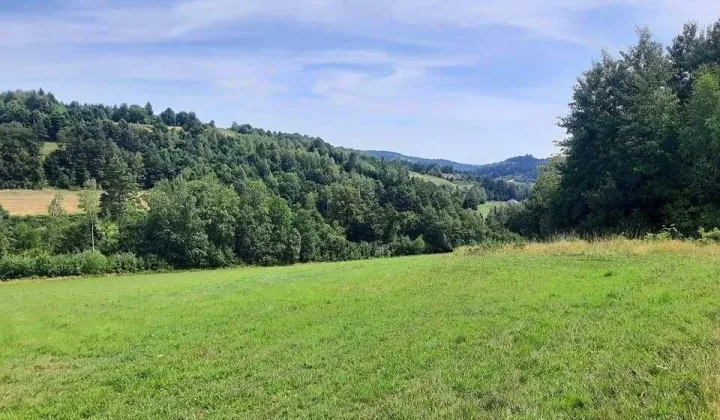 Działka rolno-budowlana Jastrzębia