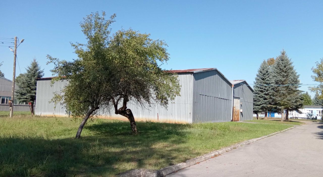 Nieruchomość komercyjna Skopanie