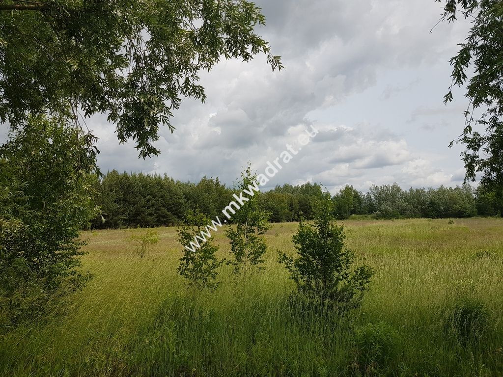 Działka inwestycyjna Jaktorów-Kolonia. Zdjęcie 6