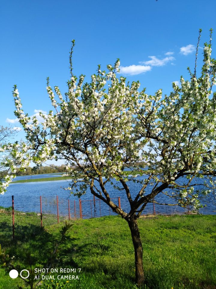 dom wolnostojący, 2 pokoje Chełm Chełmska Starówka, Uchanka. Zdjęcie 7