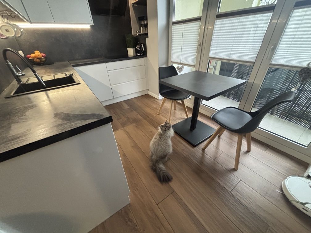 Mieszkanie 2-pokojowe Pabianice Piaski. Zdjęcie 6