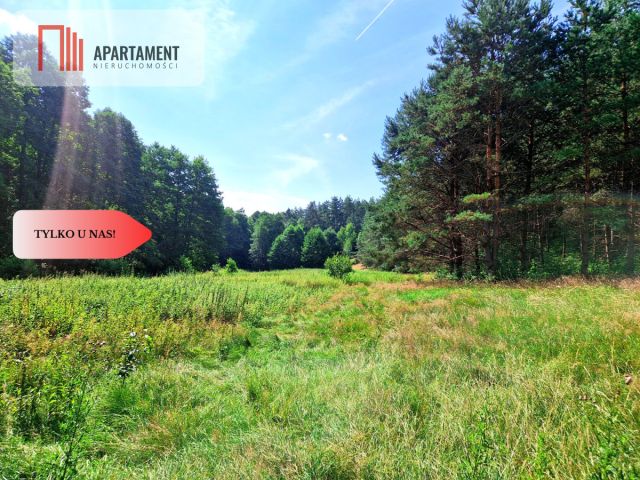 Działka budowlana Pustki. Zdjęcie 12