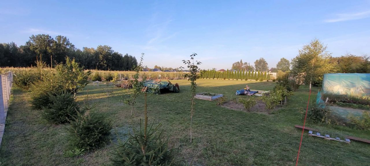 Działka budowlana Teodorów, ul. Świerkowa. Zdjęcie 1