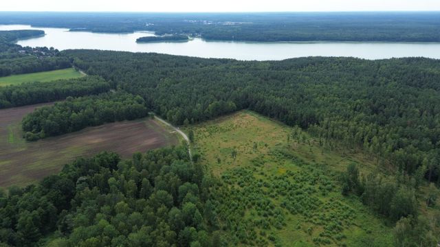 Działka budowlana Dąbrowica. Zdjęcie 10