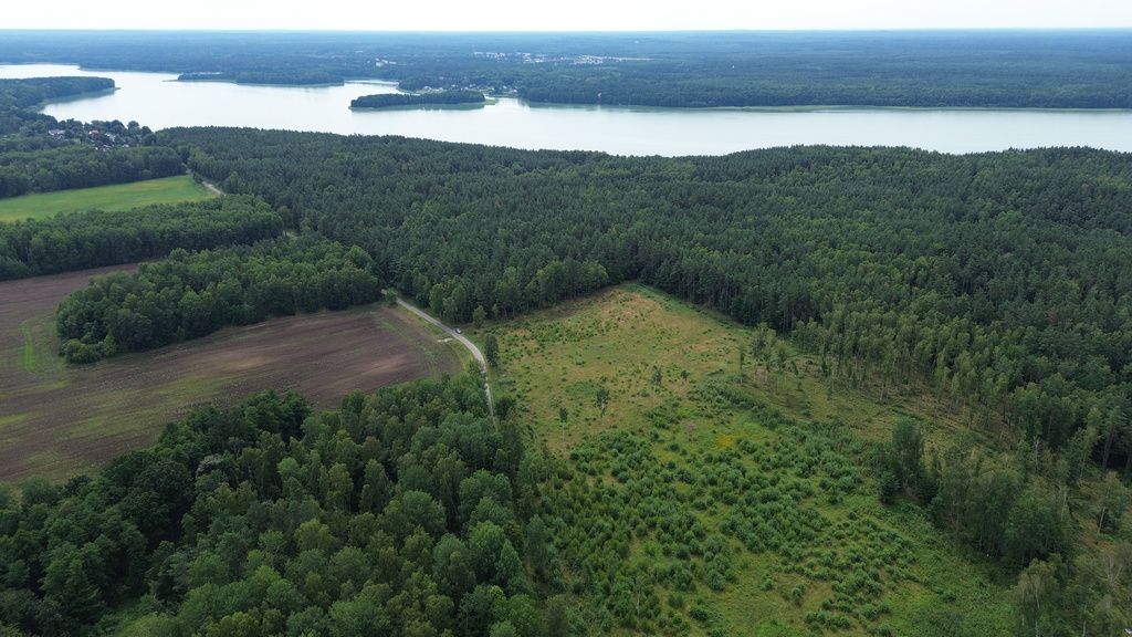 Działka budowlana Dąbrowica. Zdjęcie 10