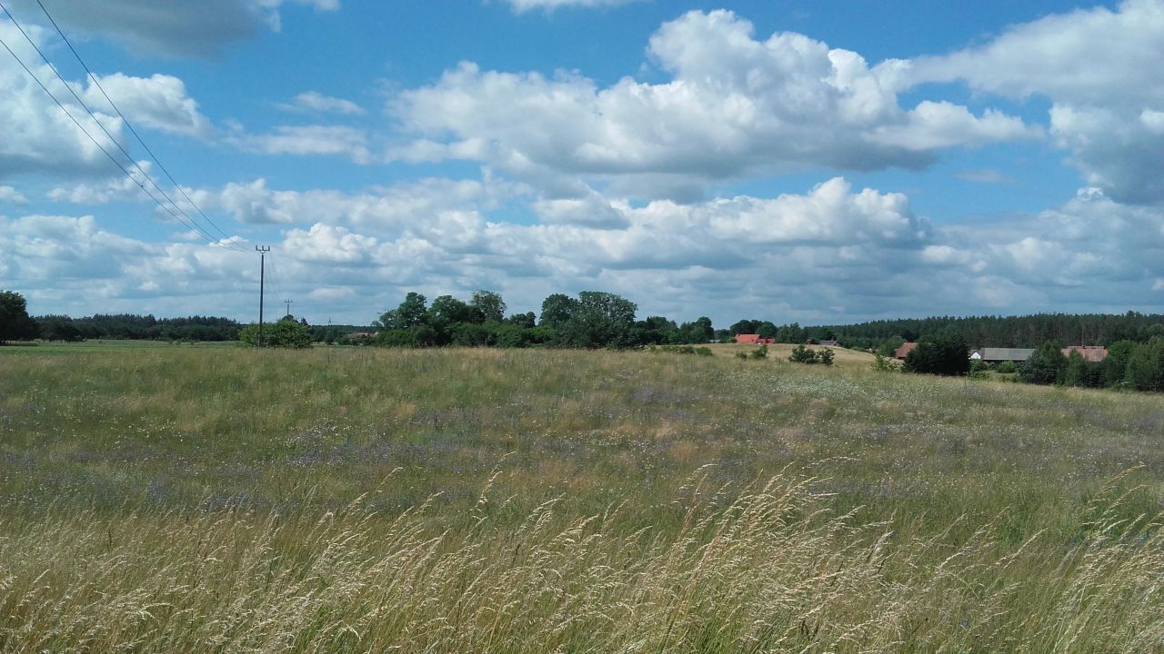 Działka rolno-budowlana Cierzpięty. Zdjęcie 4