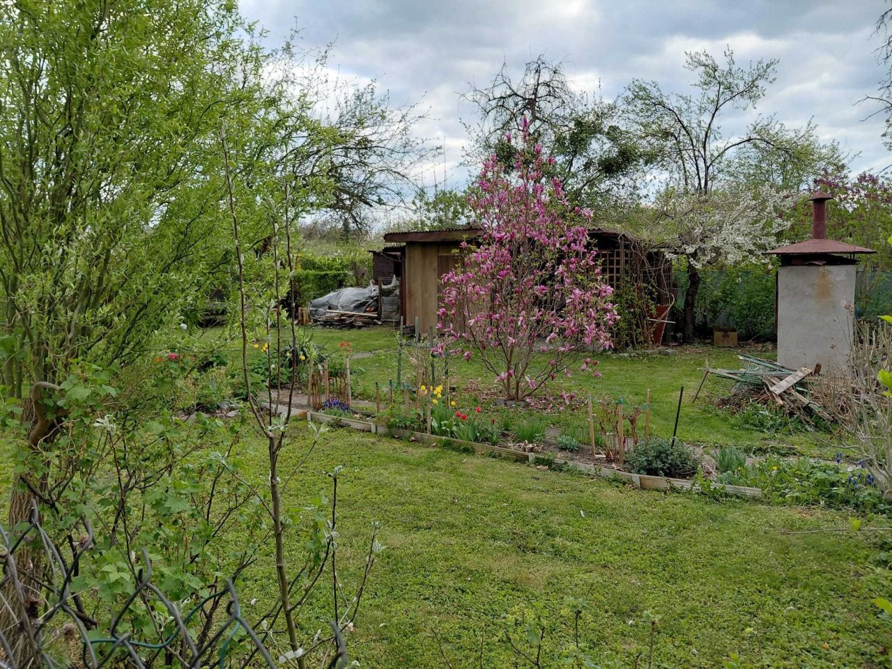 Działka rod Gliwice Śródmieście. Zdjęcie 3