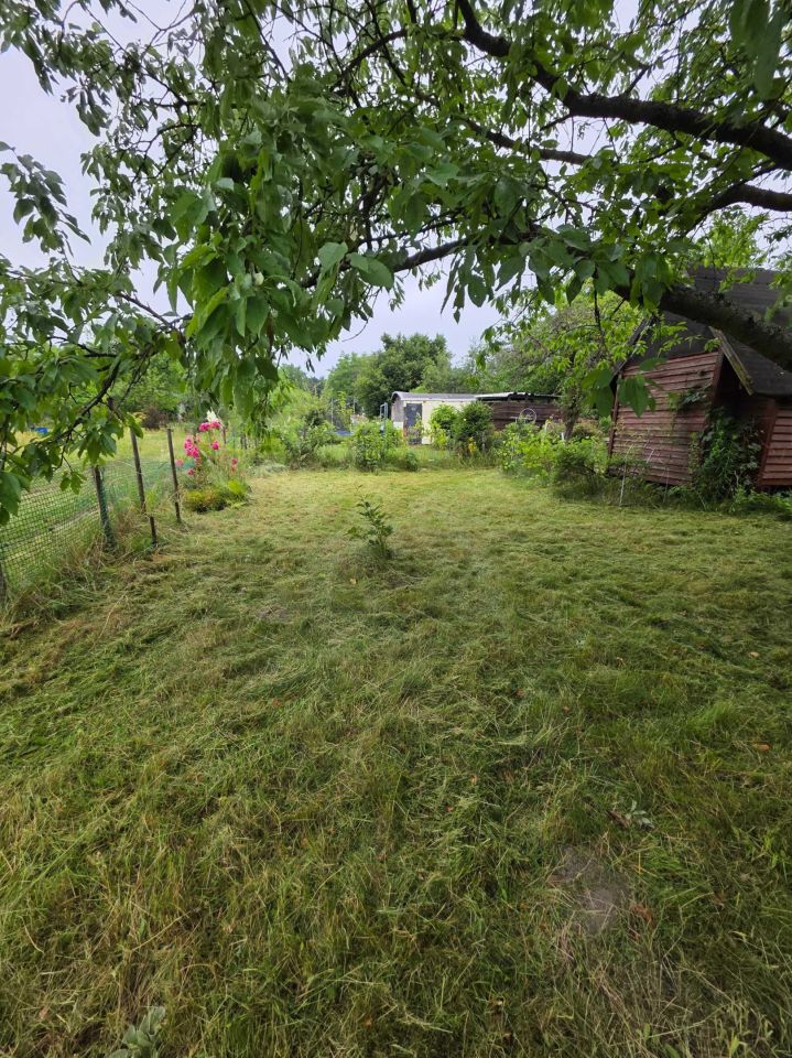 Działka rod Wrocław Krzyki. Zdjęcie 7