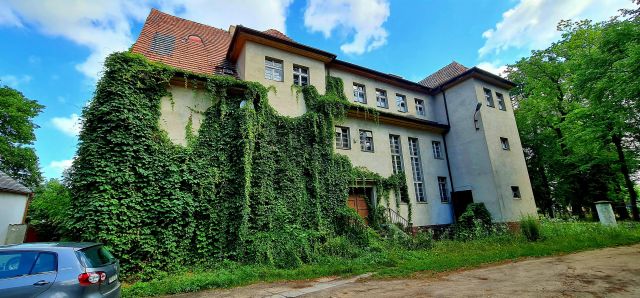 dom wolnostojący, 10 pokoi Trzciel, ul. Zbąszyńska. Zdjęcie 1