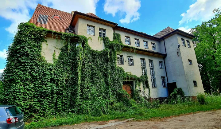 dom wolnostojący, 10 pokoi Trzciel, ul. Zbąszyńska