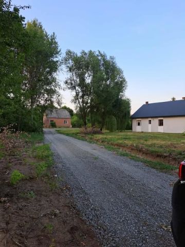 Działka rolno-budowlana Cmolas Dąbrówka. Zdjęcie 4