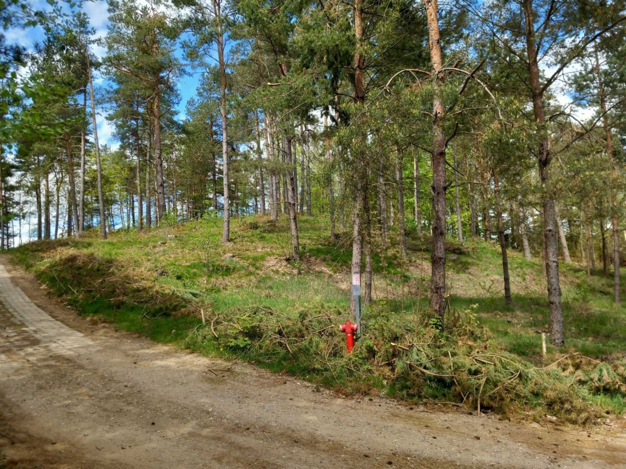 Działka rekreacyjna Żukówko. Zdjęcie 3