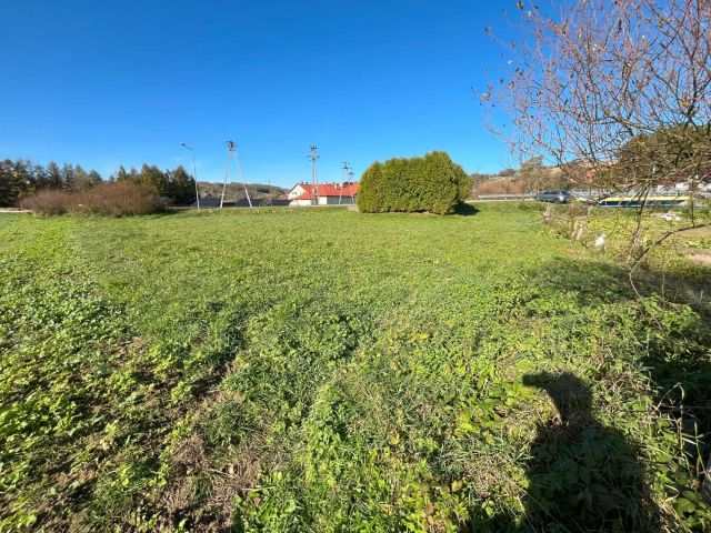 Działka rolna Niebylec. Zdjęcie 1