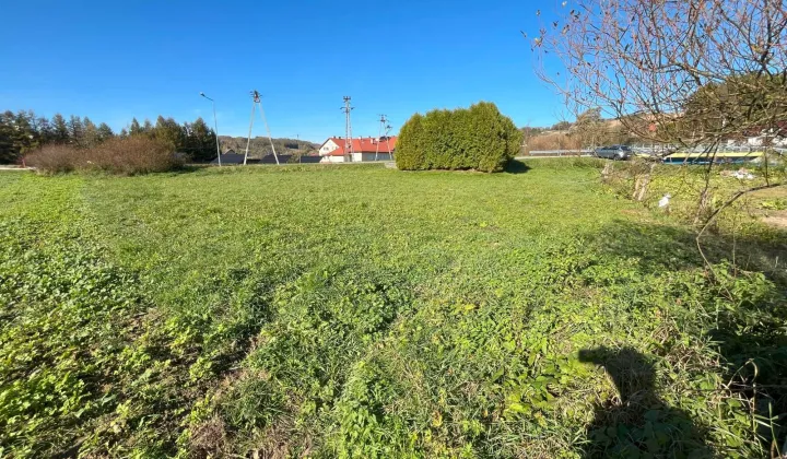 Działka rolna Niebylec