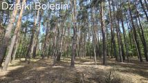 Działka rekreacyjna Bolęcin. Zdjęcie 4
