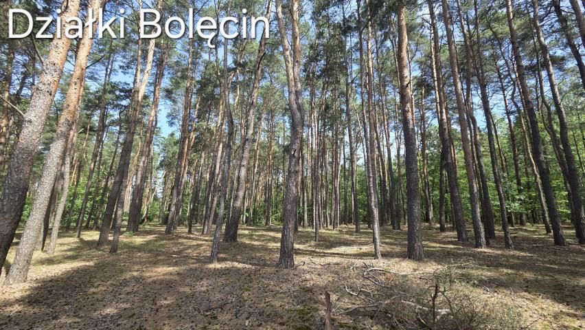 Działka rekreacyjna Bolęcin. Zdjęcie 6